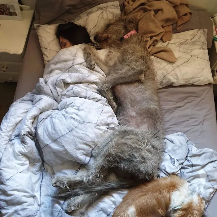 Naps And Cuddles With Hoomum