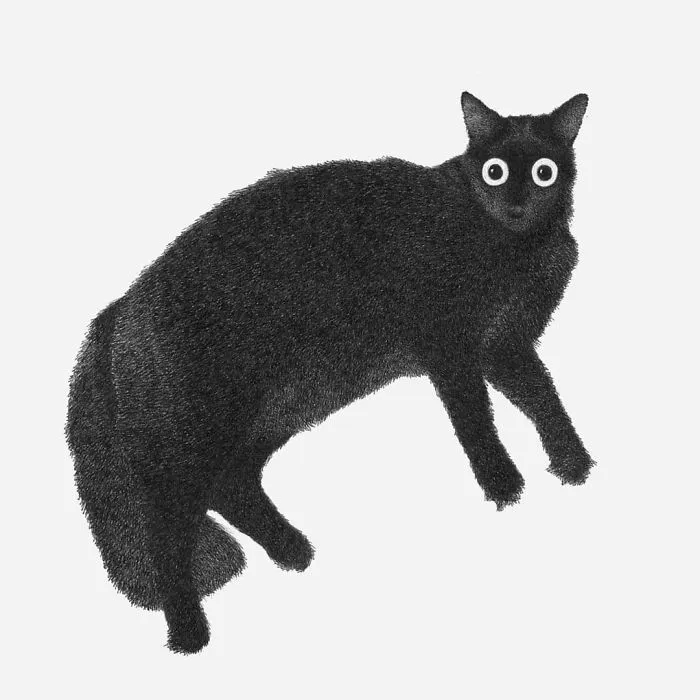 Black animal drawing with wide eyes, inspired by nieces, showcasing a unique drawing style.