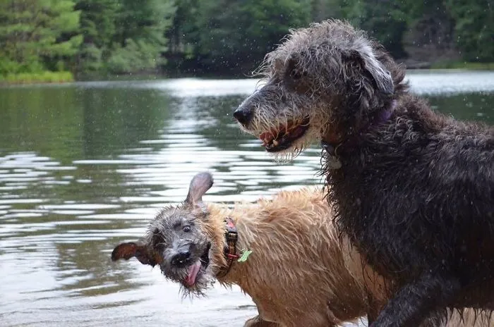Photobombed