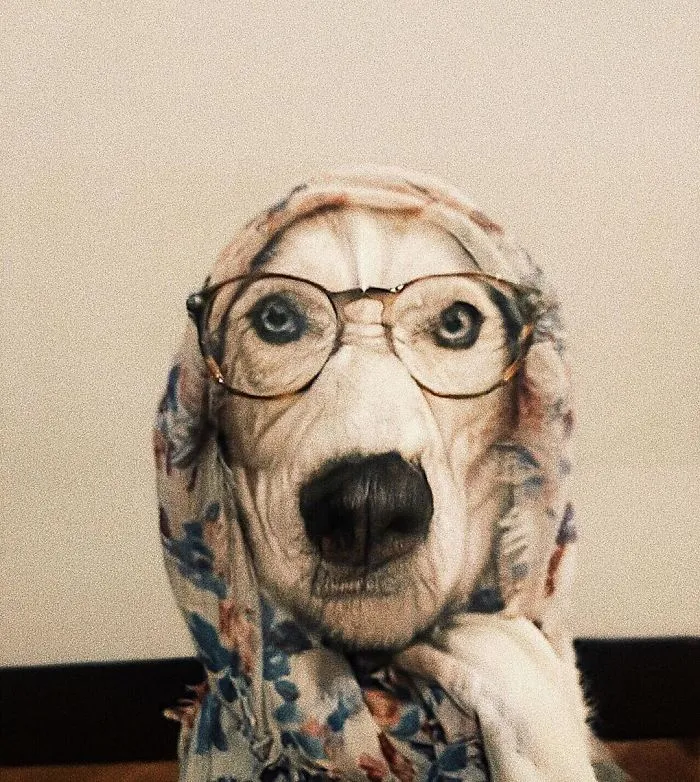 FaceApp Filter Shows What You'll Look Like When You're Older And People Post The Results (30 Pics)