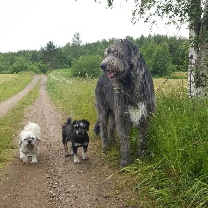 Looks Like They're About To Drop The Hottest Music Album Of The Year