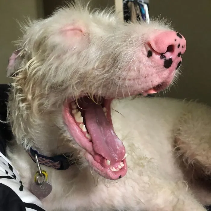 Winnie