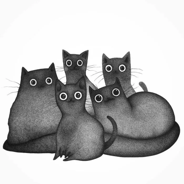 First Kitty Family