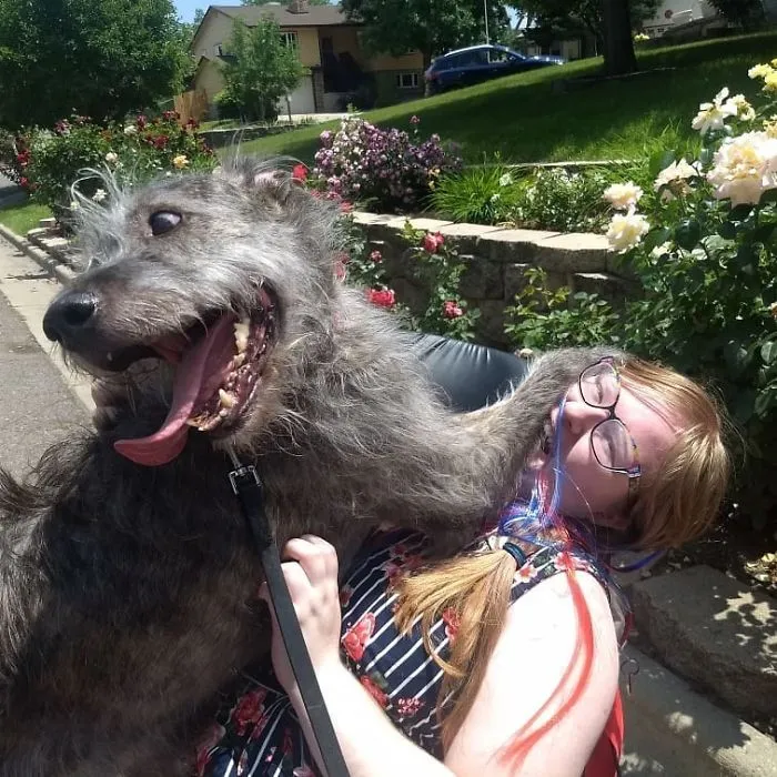 Sloane Got To Sit On My Lap. He Wasn't Excited At All...