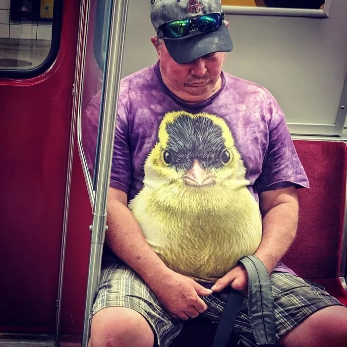 If The Shirt Fits!