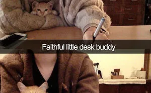 40 Hilarious Cat Snapchats That Will Leave You With The Biggest Smile (New Pics)