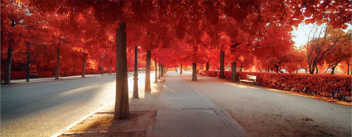 My 22 Pics Of Madrid That I Captured Using Infrared Photography