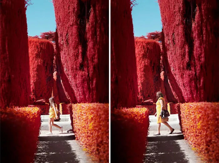 My 22 Pics Of Madrid That I Captured Using Infrared Photography
