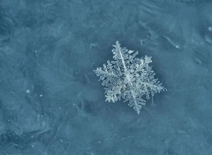Schneeflocke