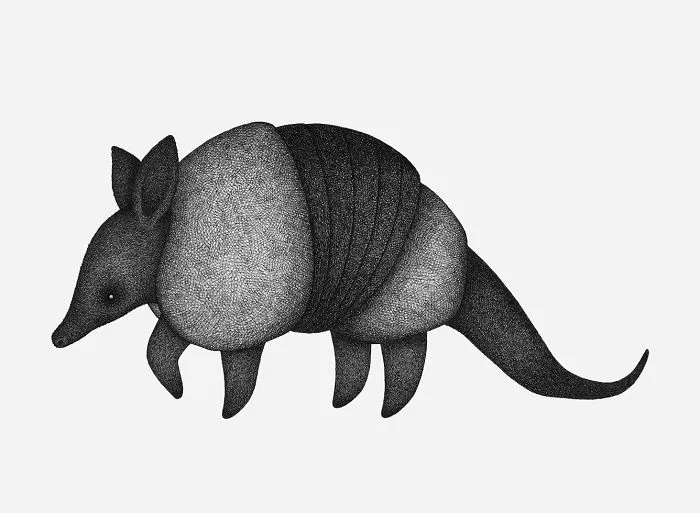 Panpan
