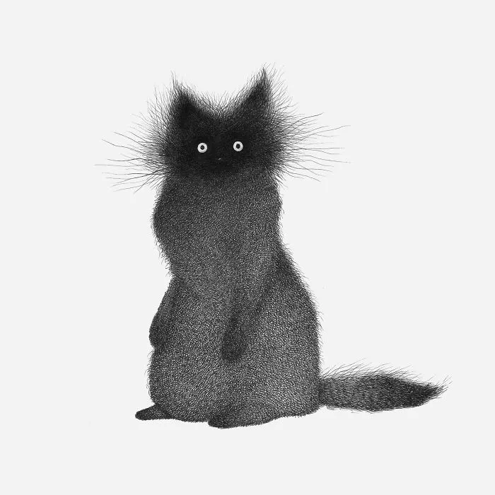 Black and white stippling illustration of a fluffy black cat with large eyes. Animals drawn with a unique artistic style.