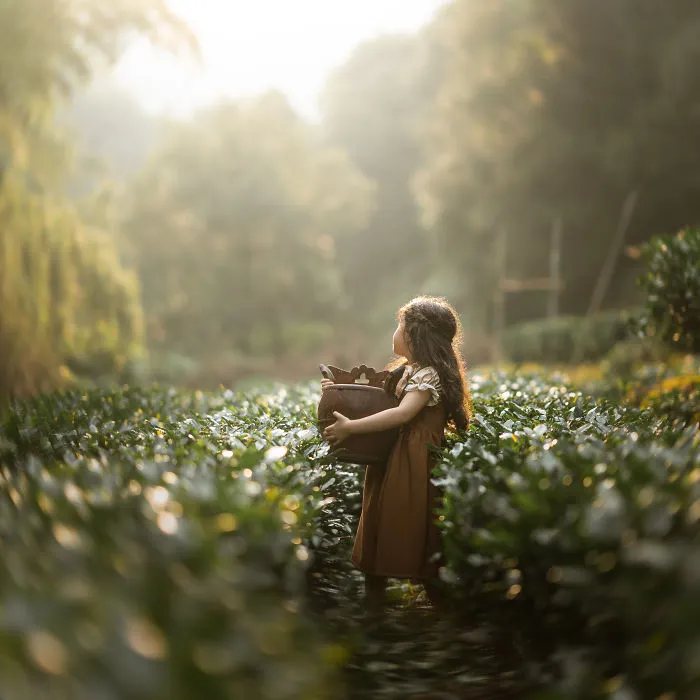 Hangzhou, China- Taken In A Tea Garden, The Girl At The Photo Was Half Chinese Half European