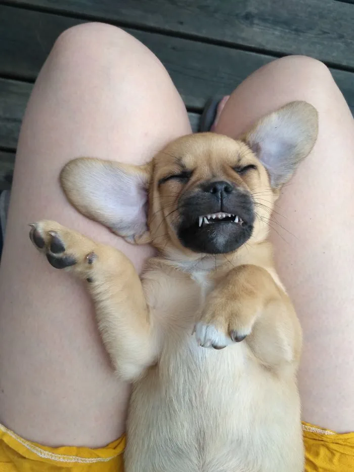 Sleeping Beauty