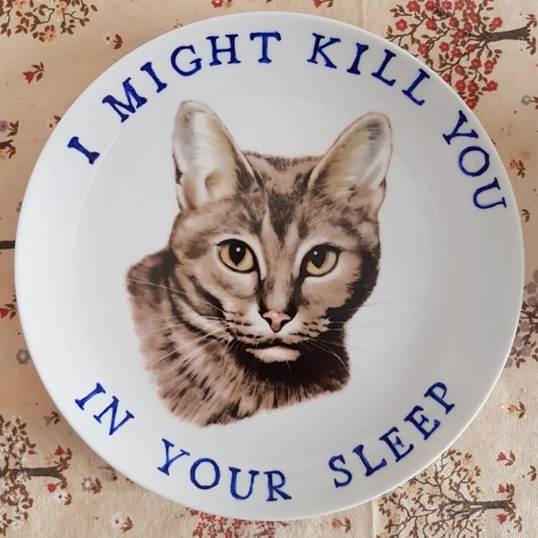 Cat's Thoughts