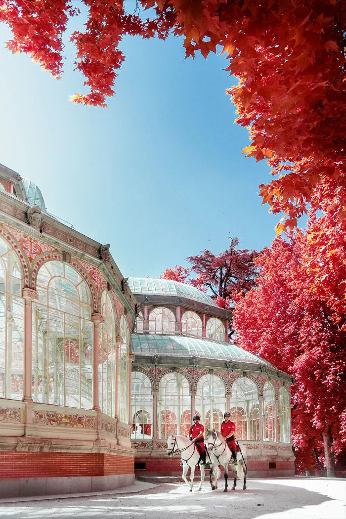 My 22 Pics Of Madrid That I Captured Using Infrared Photography