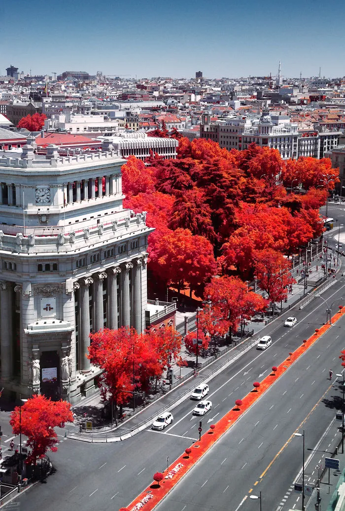 My 22 Pics Of Madrid That I Captured Using Infrared Photography