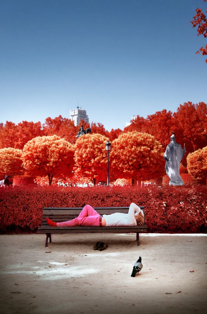 My 22 Pics Of Madrid That I Captured Using Infrared Photography