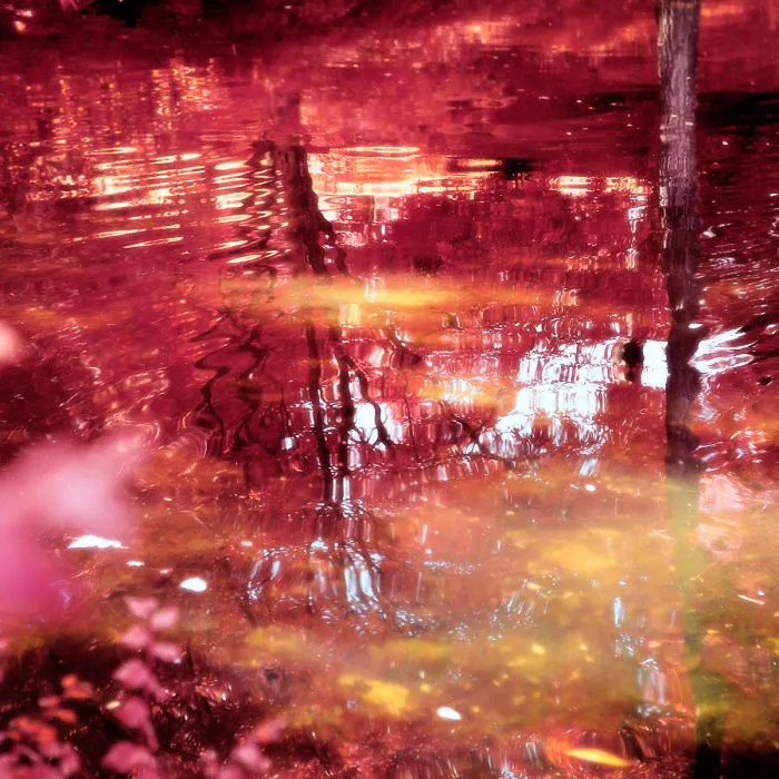 My 22 Pics Of Madrid That I Captured Using Infrared Photography