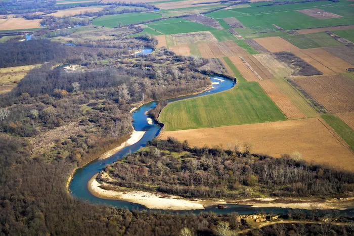 The River