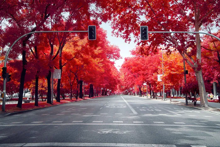He Discovers Madrid In Infrared !