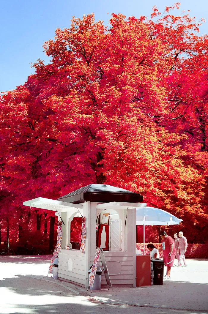 My 22 Pics Of Madrid That I Captured Using Infrared Photography