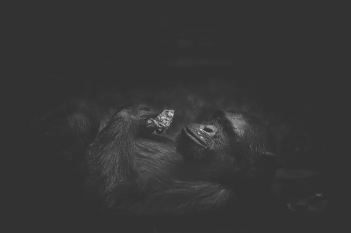 Artist Captures The Heartbreaking Reality Of The Bangladesh National Zoo (15 Pics)