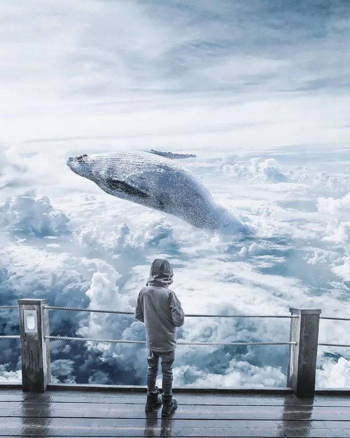 Whale Cloud