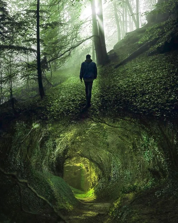 Natural Utopia