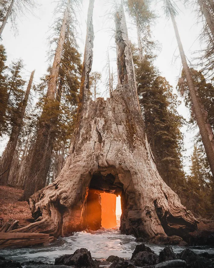 Everything You Can Imagine Is Real