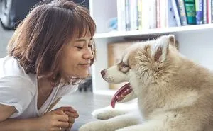 How Each Mess Your Dog Makes Is A Chance To Say, [ I Love You For Who You Are ]