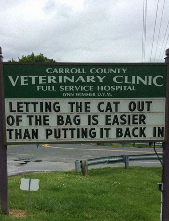Wait, that actually makes sense