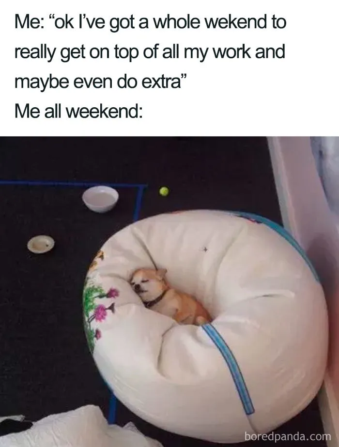 Weekend Ambitions vs Reality