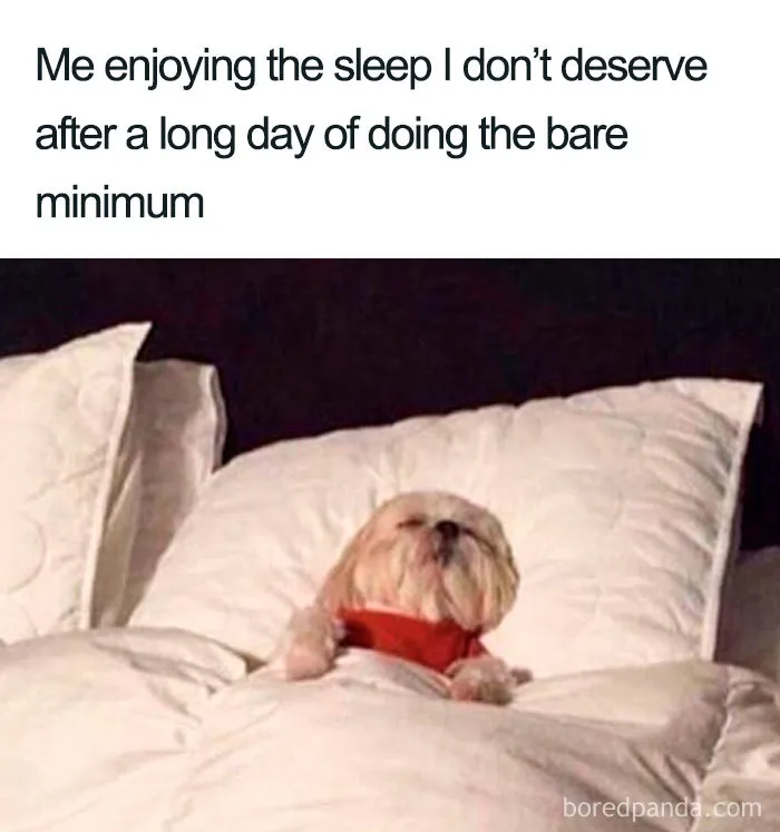 Dog tucked in bed with humorous sleeping meme text above.