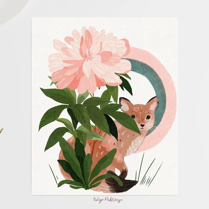 Shy Fox