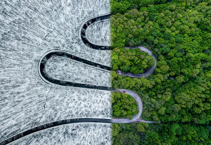 Weather Snake
