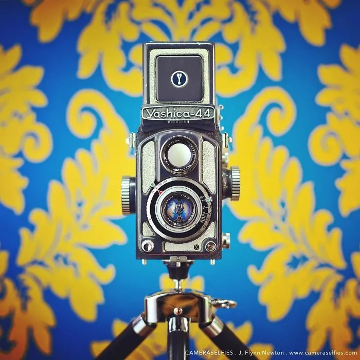 Yashica 44