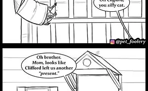 30 Funny Comics About Animals By Pet Foolery