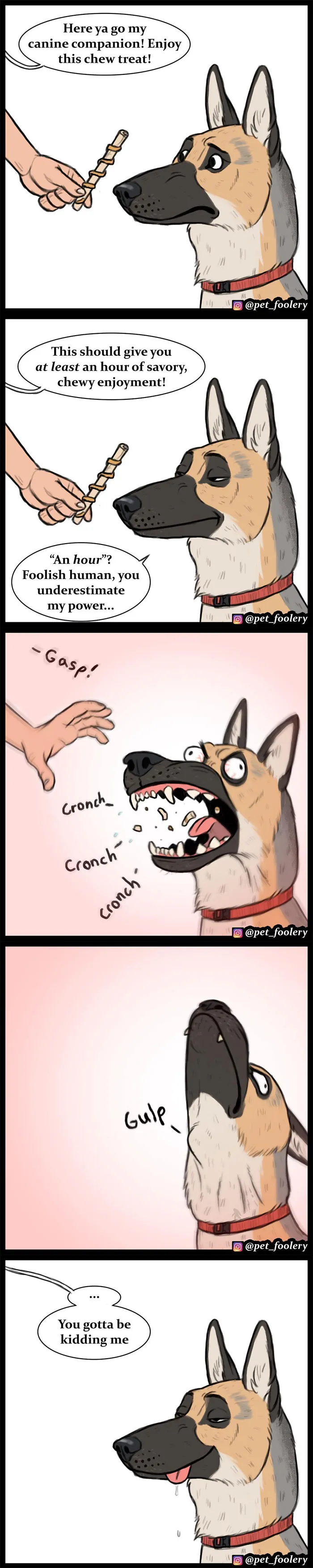 30 Funny Comics About Animals By Pet Foolery