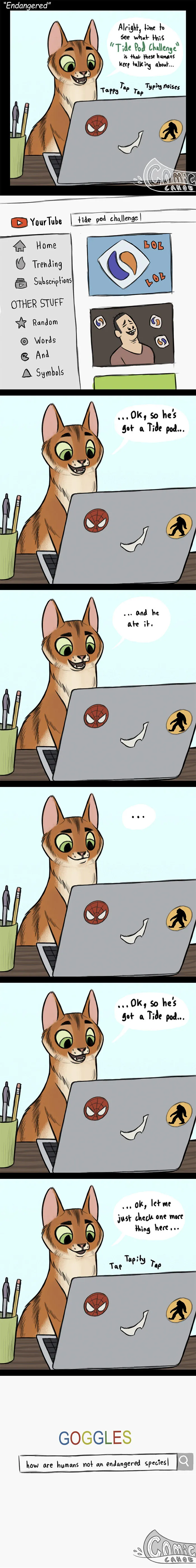30 Funny Comics About Animals By Pet Foolery