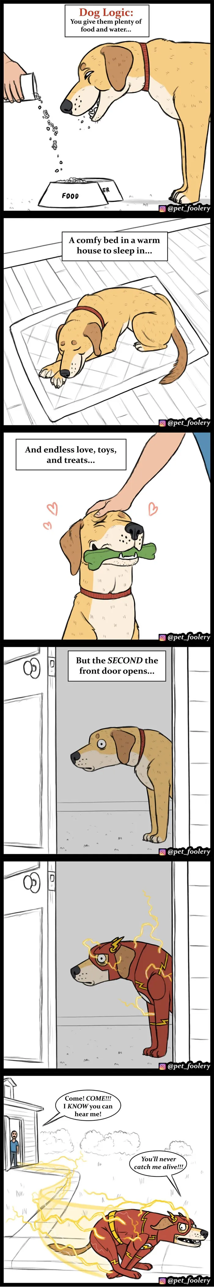 30 Funny Comics About Animals By Pet Foolery