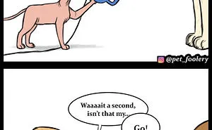 30 Funny Comics About Animals By Pet Foolery