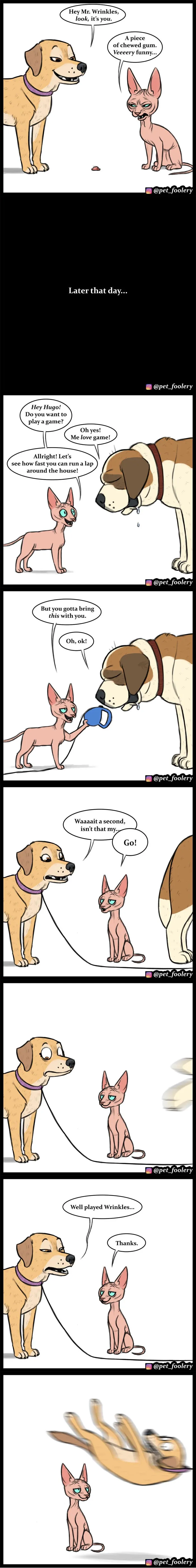 30 Funny Comics About Animals By Pet Foolery