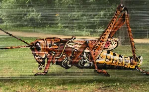 I Use Transparent Wrap To Spray-Paint Animals