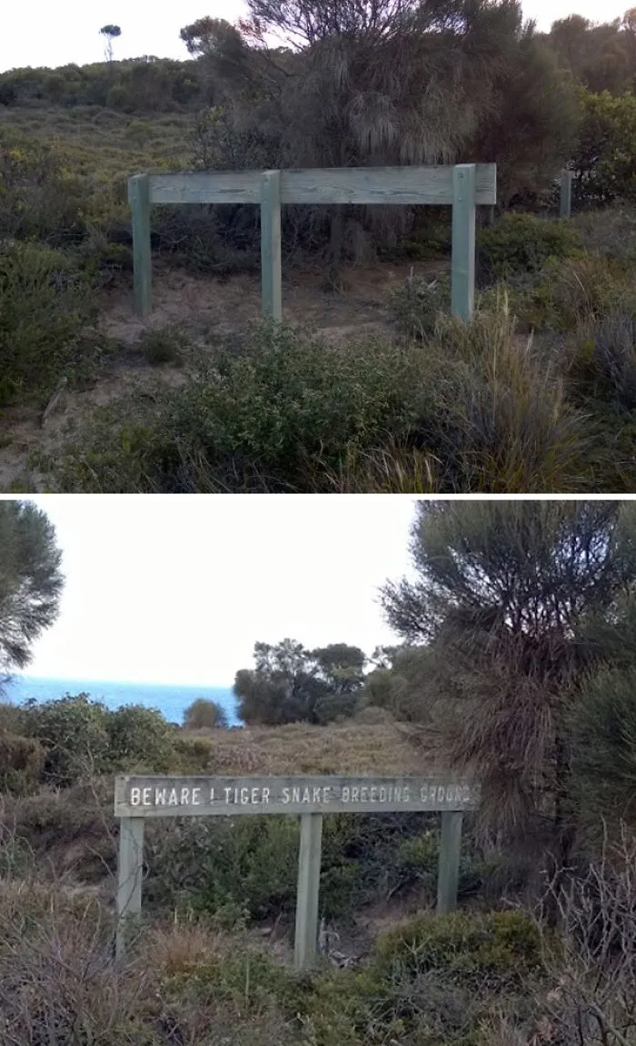 Sign in Australia warning of tiger snake breeding ground amidst bushland.