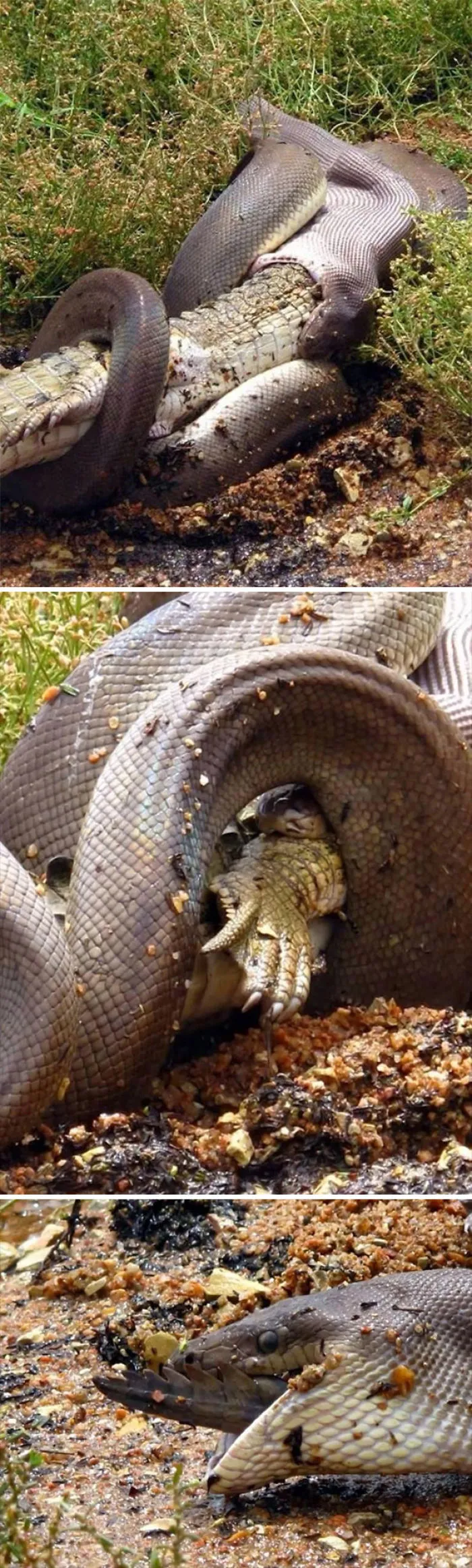 Mientras tanto en Australia
