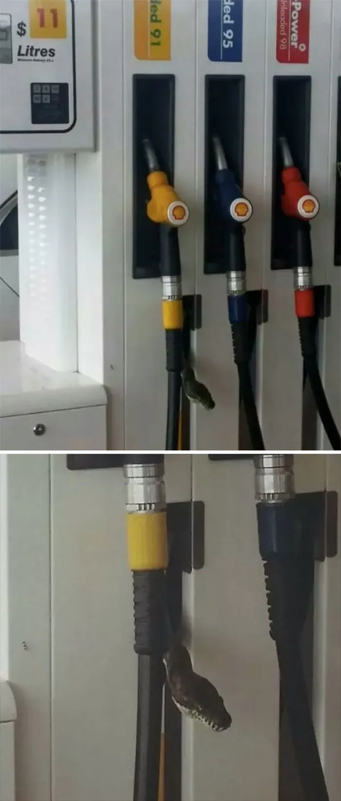 Filling Up Your Fuel Tank In Australia? Yep That'll Try And Kill You Too