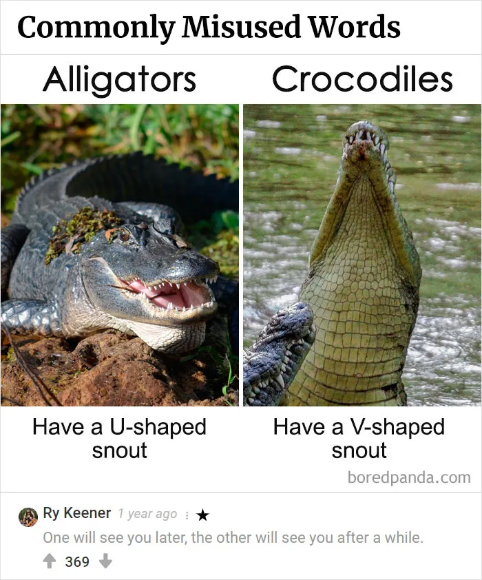 45 Funny Times The Comments Were Better Than Our Pictures