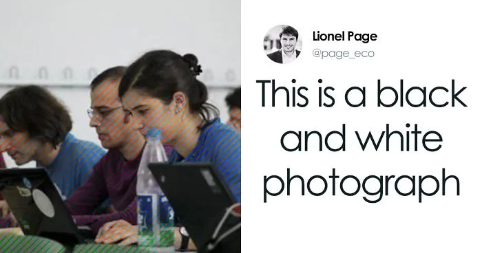 Black And White Photo Shows How An Optical Illusion Can Trick Our Brain Into Coloring It