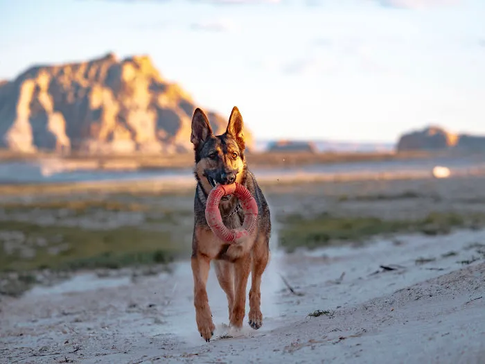 We Asked Photographers From All Around The World What ‘Fun’ Meant To Them, And Here Are The Best 30 Entries