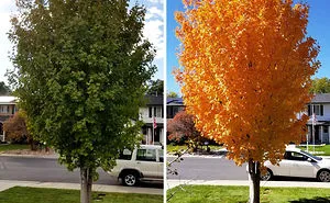 44 Of The Most Interesting Comparison Images